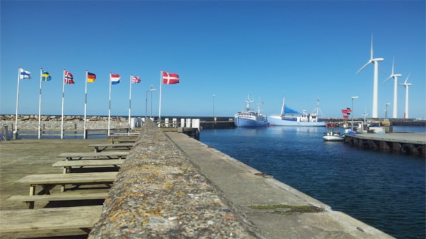 Angeln am Hafen Bønnerup Havn