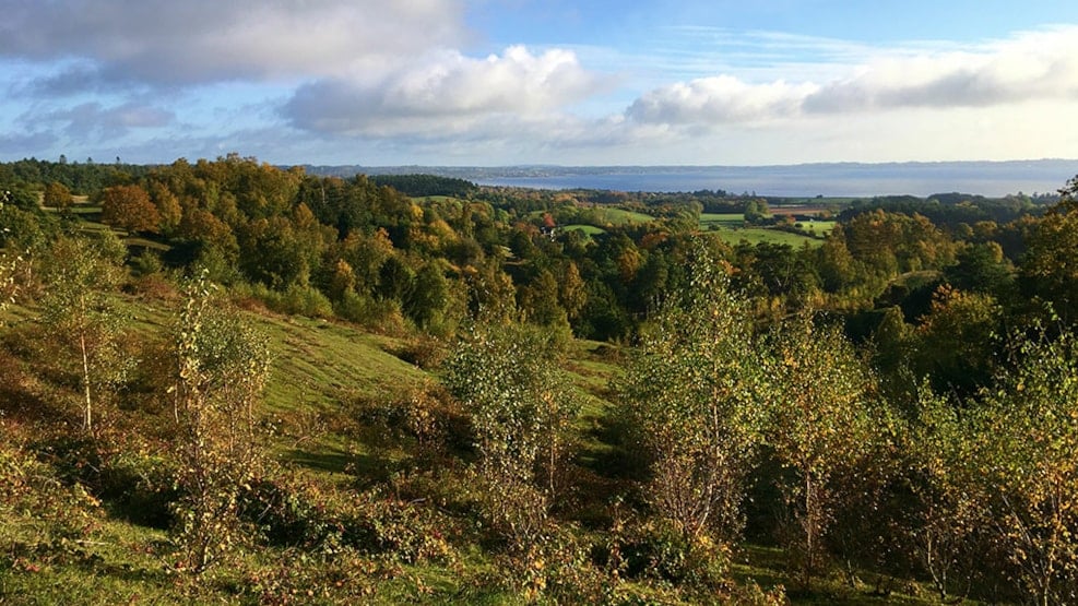 Hiking in Mols Bjerge (7 km)