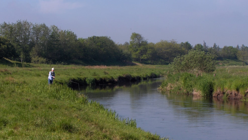Angling license for the streams near Esbjerg