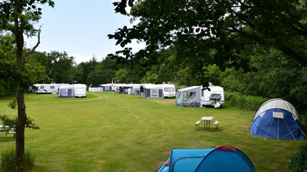 Darum Camping near Esbjerg