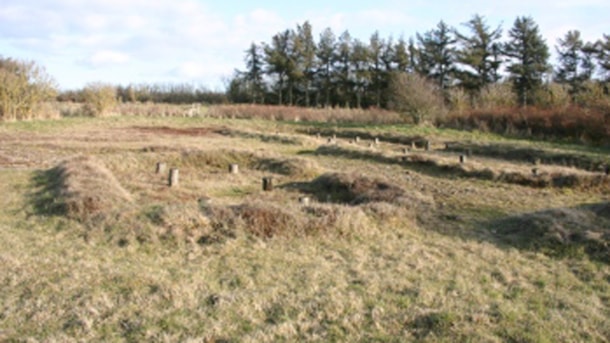 Remains from Iron Age settlements in Sjelborg - Esbjerg