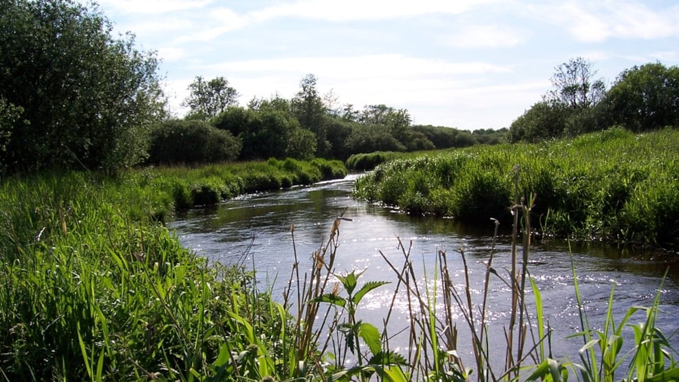 Sneum Stream in the Wadden Sea National Park