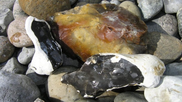 Strandsteine und Fossilien