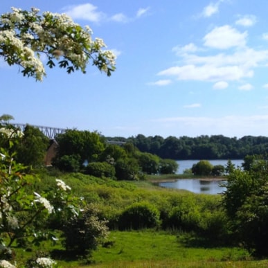 Zeltplatz Snoghøjgårdpark