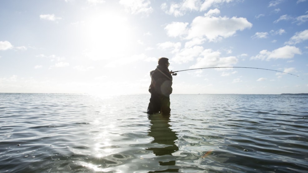 Fishing Spot - Vesterskov