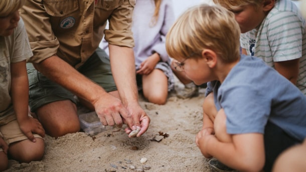 Die Suche nach Steinen und Fossilien am Kleinen Belt