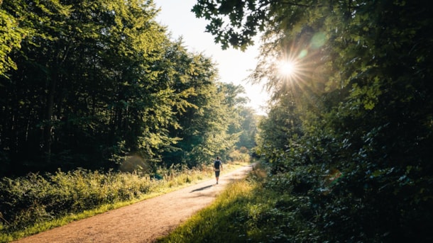 Der Rundwanderweg Næsset Rundt