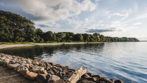 Schnorchelpfad bei Trelde Næs