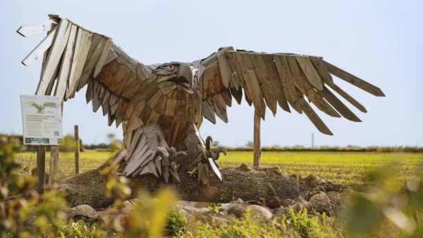 Havørnen - Træskulptur ved Kringsminde