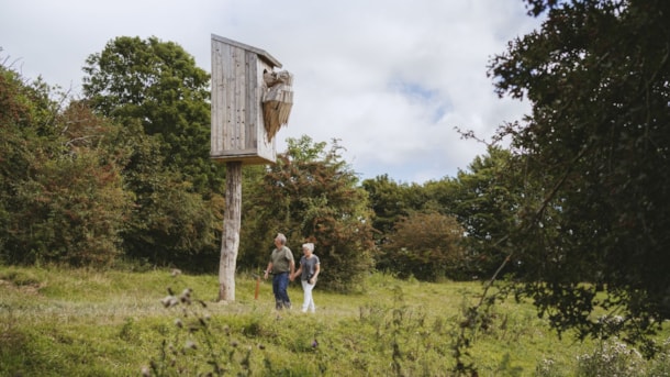 Stæren - Træskulptur i Madsbyparken