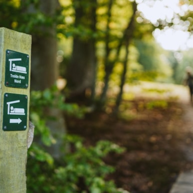 Der Zeltplatz im Naturgebiet Trelde Næs