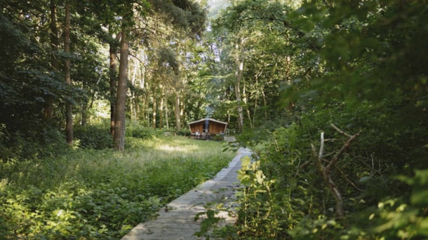 Shelter Site at Rands Fjord