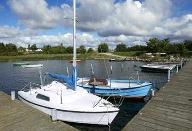 Selsø Møllekrog