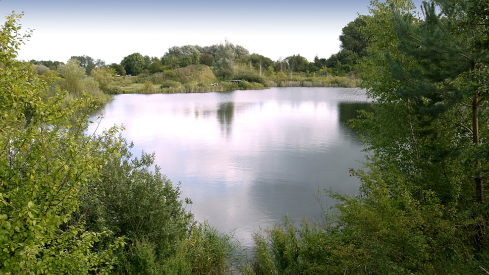 Fiskevande Skuldelev Grusgrav