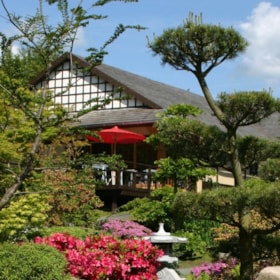 De Japanske Haver