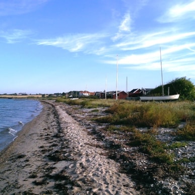 Dyreborg Strand - Knold, Drejet