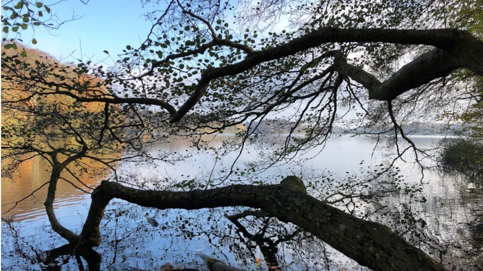 Nørresø (lake)