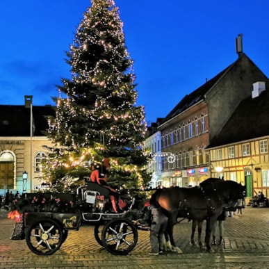 Hestevognskørsel i Faaborg i Julen
