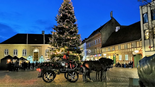 Horse-drawn carriage in Faaborg 