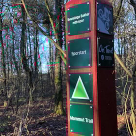 Mountain bike in Svanninge Bakker