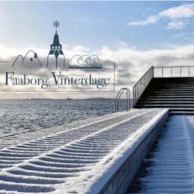 Faaborg Vinterdage 24. - 26. januar 2025