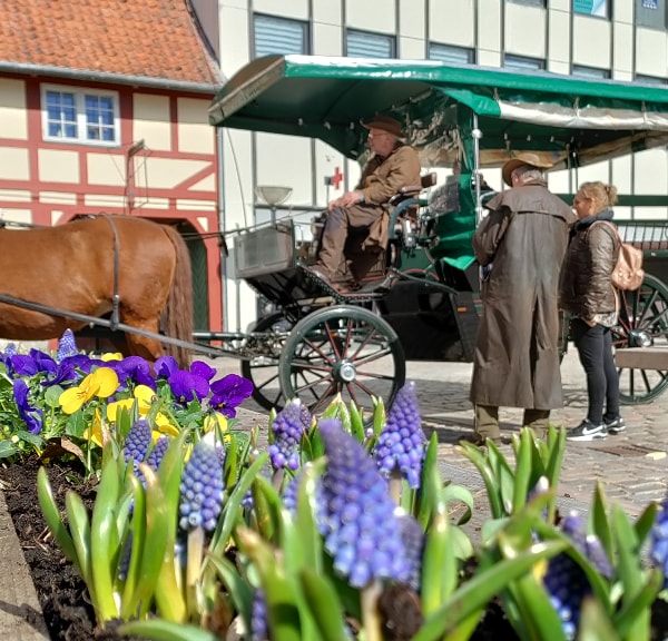Experience Faaborg by Horse-Drawn Carriage this Easter