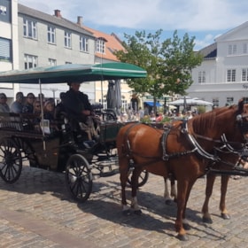 Hestevognstur