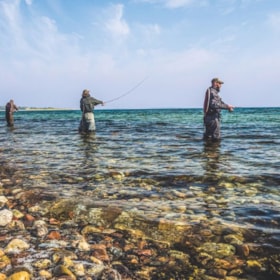 Fiskeplads - Avernakø