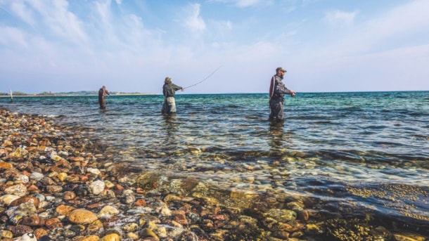 Fishing spot - Avernakø