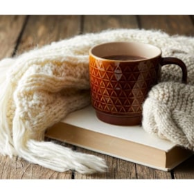 Bogcafé Faaborg Vinterdage