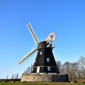 Syrenudstilling på Grubbe Mølle