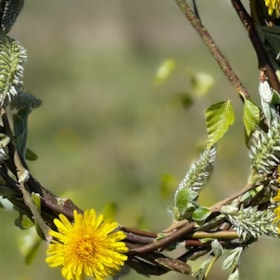 Natur Kvindtæt