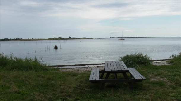 Fiskeplads - Dyreborg