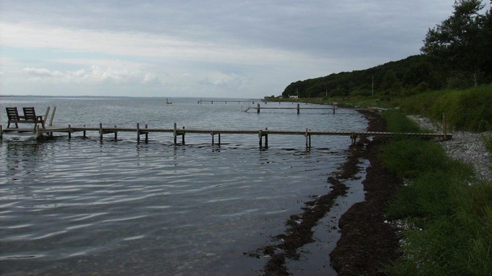 Fishing spot - Sinebjerg