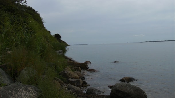Fishing spot - Stensbjerg Knæ Horne