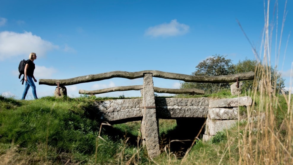 Immervad Bridge