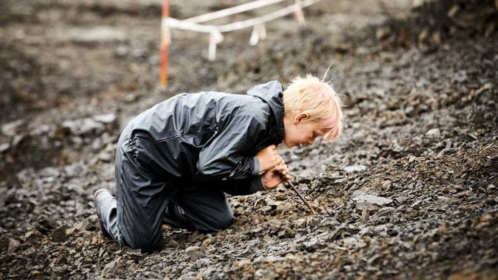 Museum of Southern Jutland - Gram Clay Pit - Paleontology