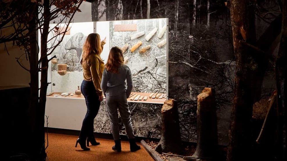 Museum Sønderjylland - Archaeology Haderslev