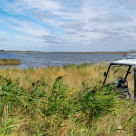 Golfvognsudlejning og guidet ø-tur på Aarø