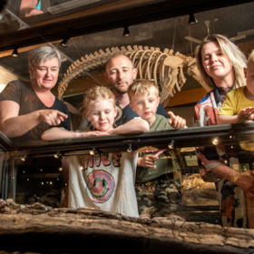 Museum Sønderjylland – Gram Lergrav – Palæontologi