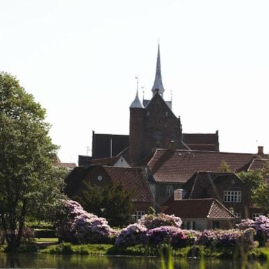 Haderslev Domkirke