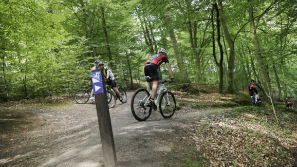 Mountainbike-Strecke in Tornby Klitplantage