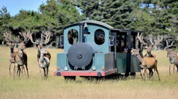 Togtur på Fun-Park Hirtshals