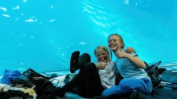 Sov med klumpfiskene - familieoplevelse på Nordsøen Oceanarium