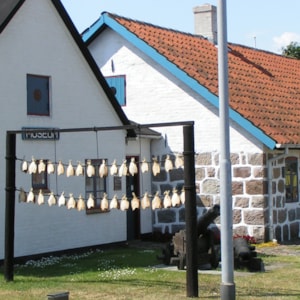 Hirtshals Museum (Regionalmuseum)
