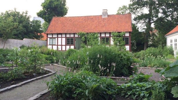 Vendsyssel Historiske Museums Have (Garten) in Hjørring