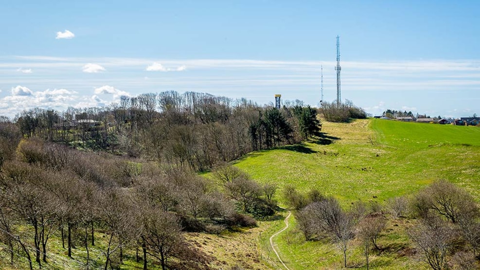 Hjørring Bjerge (hilltop) - Hjørring