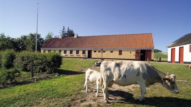 Landschafts- und Landwirtschaftsmuseum, Mosbjerg