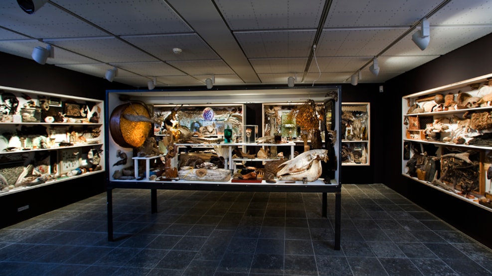 Wonder Chamber - Holstebro Kunstmuseum