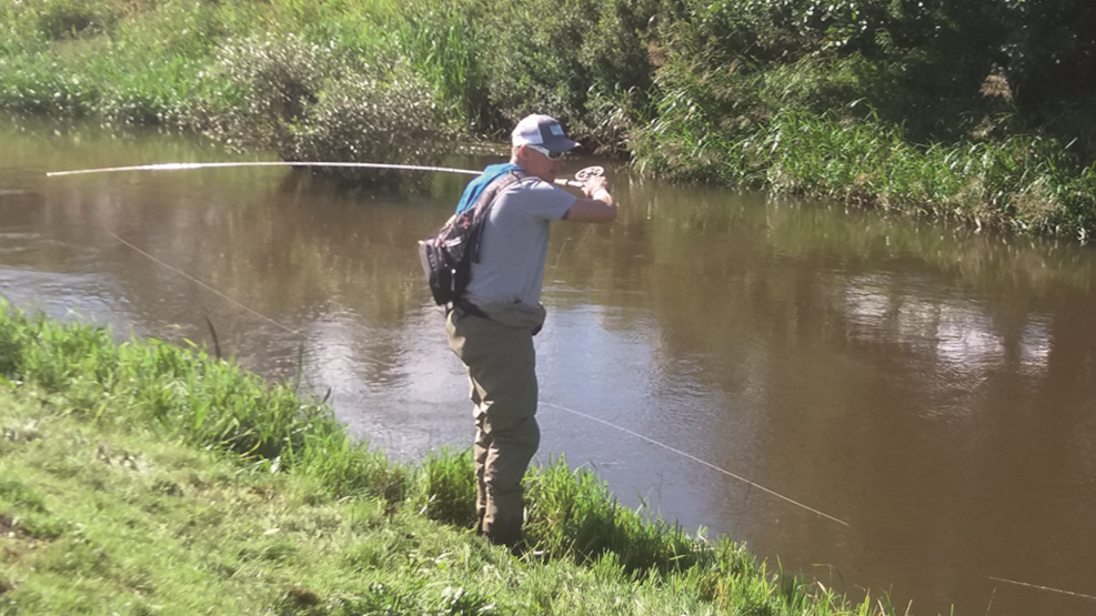 Catch Storå Salmon in Holstebro Town